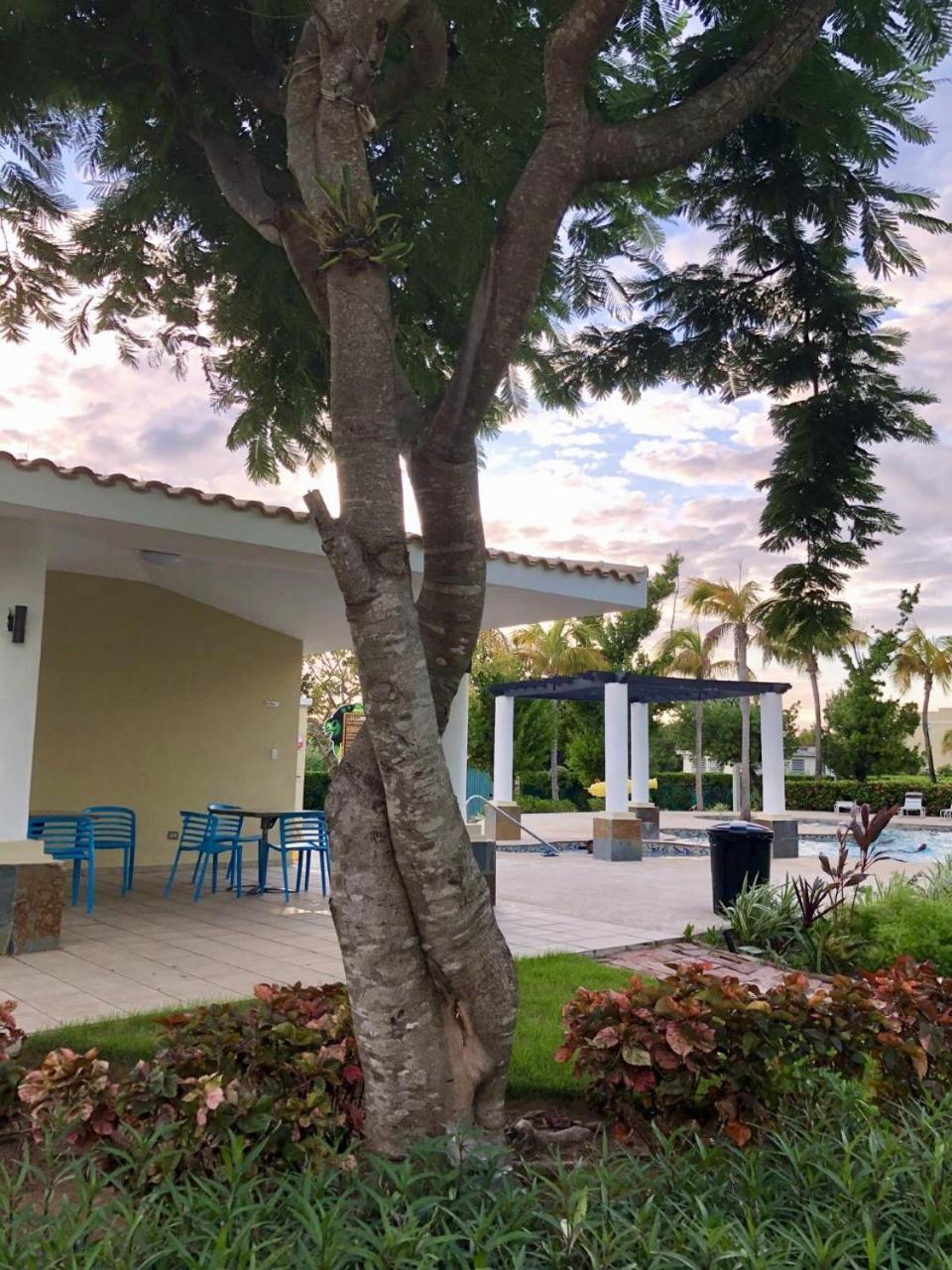 Aquatika Paraiso Tropical Loiza エクステリア 写真