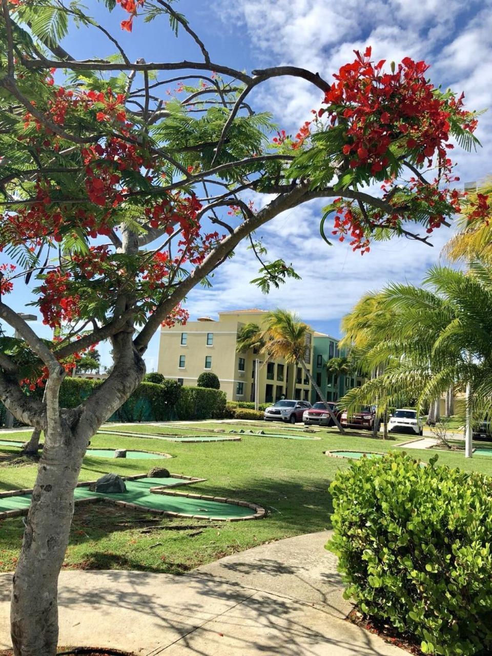 Aquatika Paraiso Tropical Loiza エクステリア 写真